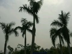 -惠和石文化园