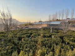 -西部长青自然儿童乐园