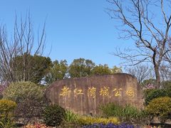 -新江湾城公园