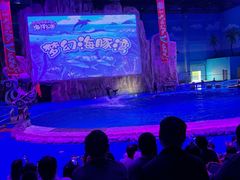 -华夏文旅海洋公园