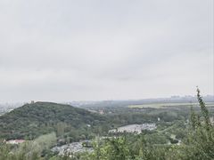 -上海佘山国家森林公园西佘山园