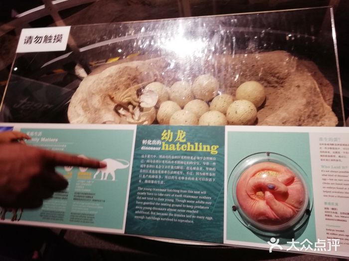 广东科学中心景点图片