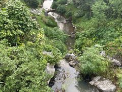 -云溪植物园
