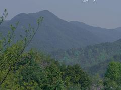 -会稽山峡洞漂流-上青古道