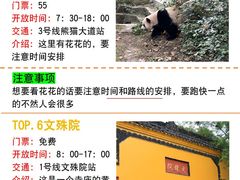 -成都大熊猫繁育研究基地