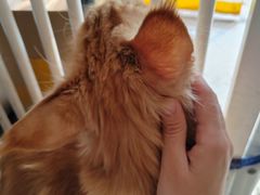 -平行世界·猫咖(首经贸店)