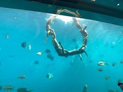 -瑞德姆美人鱼海底演艺主题餐厅(亚龙湾店)
