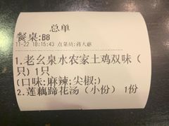 -老幺泉水鸡