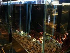 -璞御·海鲜·雪花牛肉局(宾水西道店)