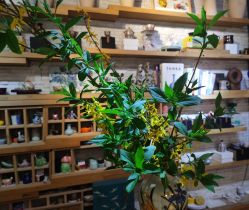 -今日陶艺(富力广场店)