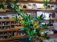 -今日陶艺(富力广场店)