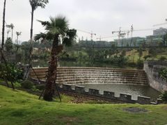 -枫香湖儿童公园