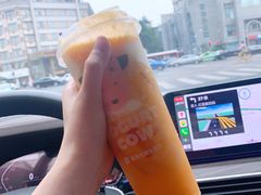 -一只酸奶牛(来福士店)