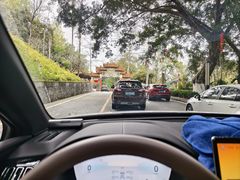 -广州市流溪河国家森林公园