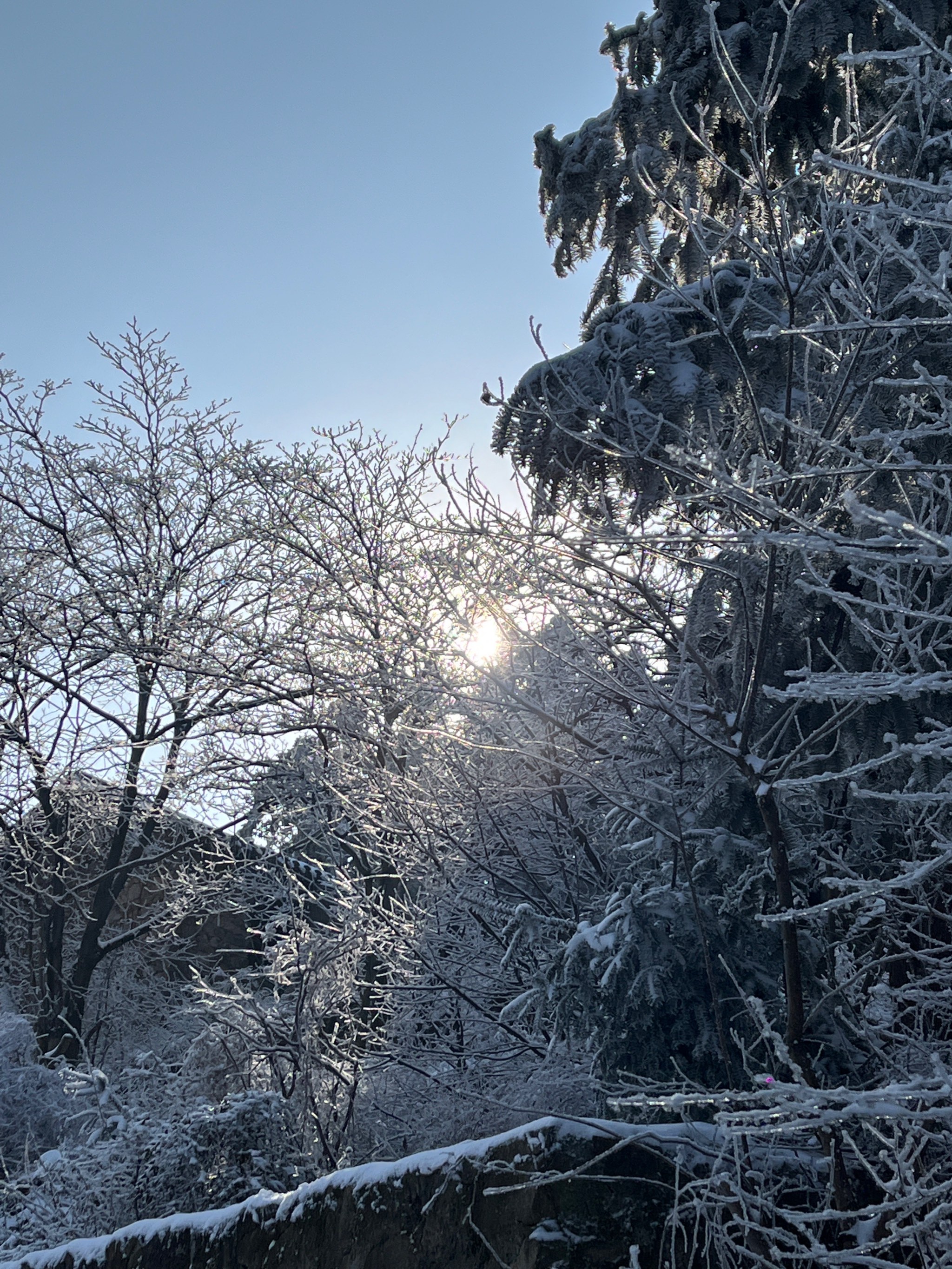 冬天适合去山顶看雪景