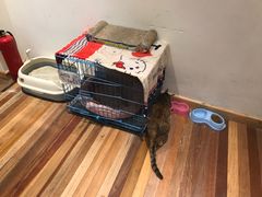 -猫的天空之城概念书店(杭州南宋御街店)