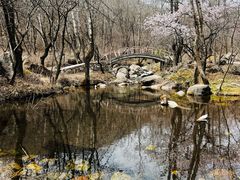 -玉渡山自然风景区