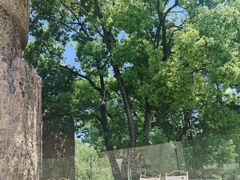 -J Create城市露营咖啡·简餐·宠物(上海动物园店)