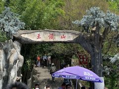 -王顺山国家森林公园