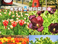 -国家植物园