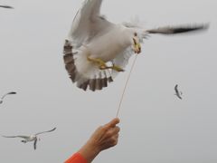 -海驴岛(荣成市)