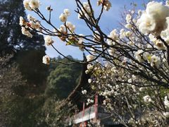 景点-昆明滇池国家级风景名胜区西山景区