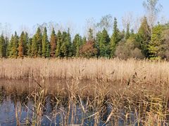 -溱湖国家湿地公园