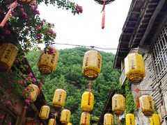 -牛背梁国家森林公园