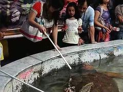 -台州海洋世界