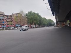 -萍香大厨·葱烧大鱼头(解放北路店)