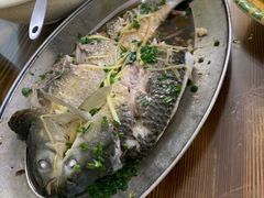 -花悦农庄 | 烧鸡·竹筒饭(沙迳高沙温泉香溪堡店)