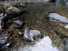 -祁门牯牛降观音堂风景区