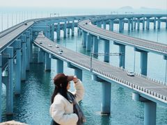 -星海湾跨海大桥