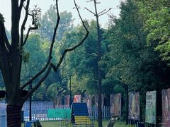 -杭州龙禧福朋喜来登酒店