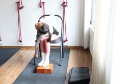 点击看大图 -Y+U遇瑜伽·普拉提