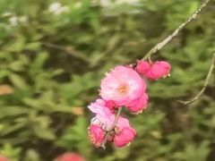 -重庆彩云湖湿地公园