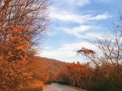 -南山风景名胜区