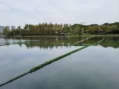 -尚贤河湿地