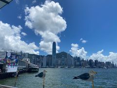 -天星小轮码头