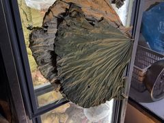 -东山矮马桶羊肉(太湖东山店)