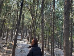 -云龙山