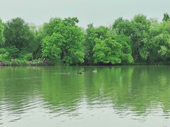 -长兴太湖图影湿地文化园