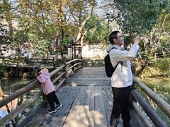 -乌村