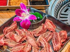 -梅梅家的烤肉店(槐北路店)