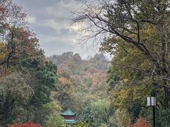 -岳麓山风景名胜区