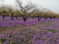 -江苏三台山国家森林公园