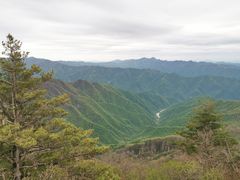 -牛背梁国家森林公园