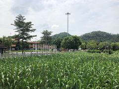 -红山村