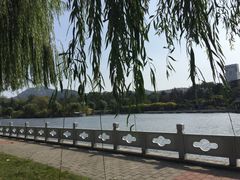 -南郊宾馆·风味自助餐厅·山东十六地市特色菜