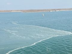 -抱抱地球咖啡馆(国家海洋博物馆店)